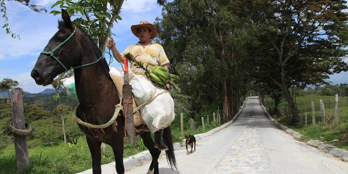 El Ministerio de Transporte y la Dirección General del Instituto Nacional de Vías informan sobre el programa 'Colombia Rural'
