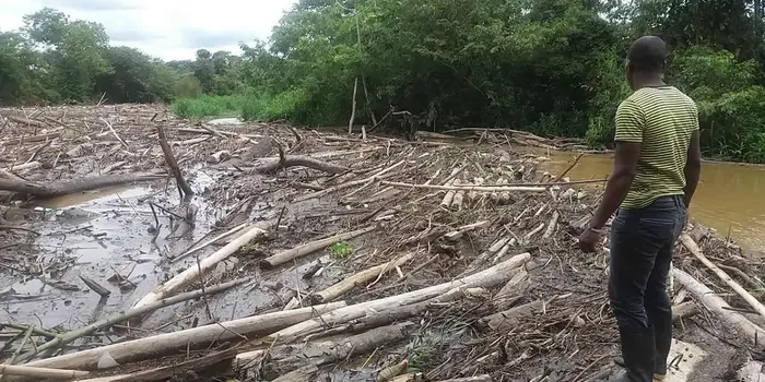 Adjudicado contrato de mantenimiento para el Río Jiguamiandó, en el departamento del Chocó