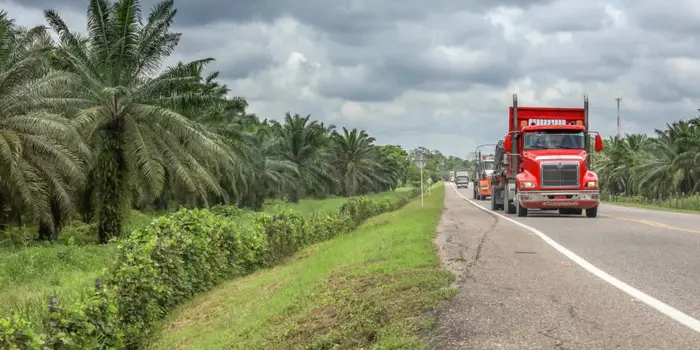 La ANSV promueve la movilidad vial laboral segura en el sector palmicultor colombiano