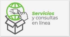 Servicios-y-consultas-en-línea